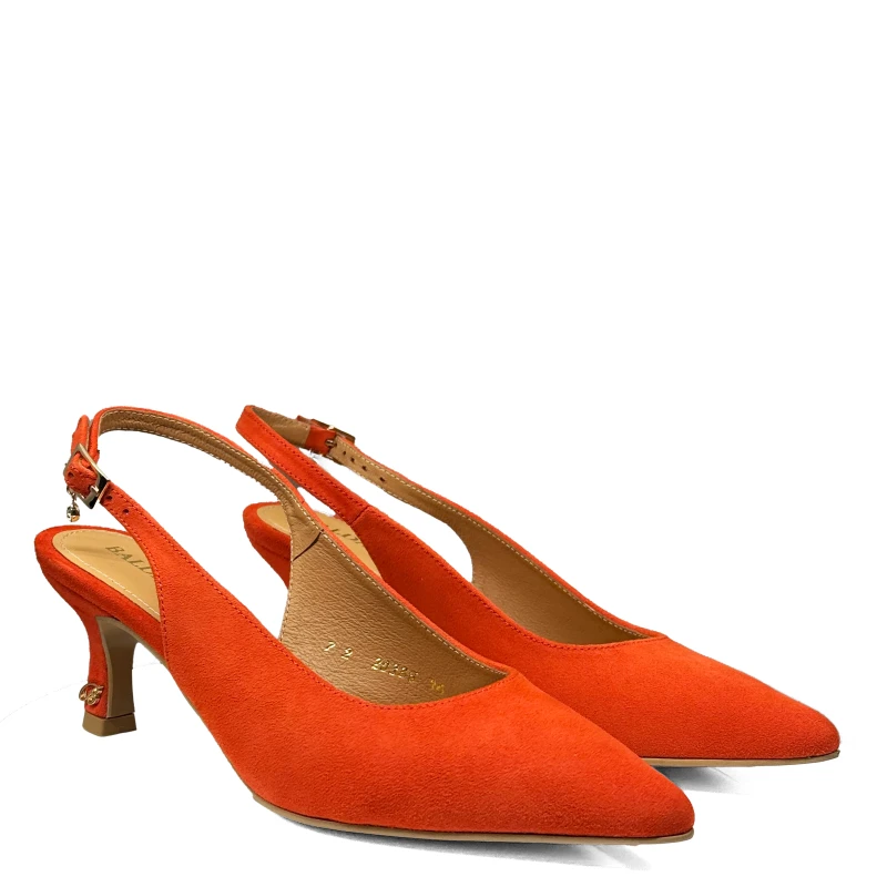 IMG_6801.png